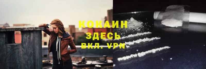 Cocaine Fish Scale  Подольск 